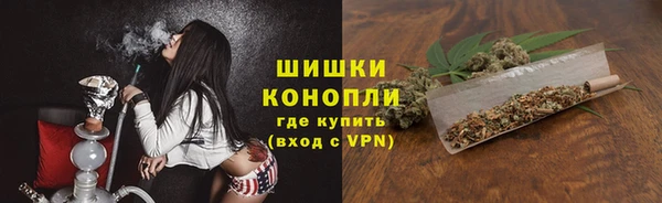 гашик Гусь-Хрустальный