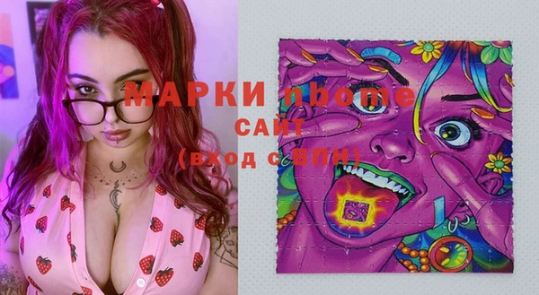 гашик Гусь-Хрустальный