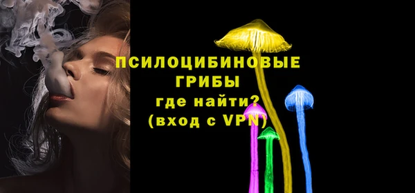 гашик Гусь-Хрустальный