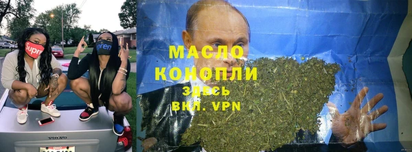гашик Гусь-Хрустальный