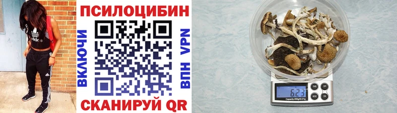 KRAKEN сайт  Духовщина  Галлюциногенные грибы MAGIC MUSHROOMS  купить  